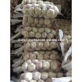 Ail blanc normal 10 kg par carton 2017 Chine Jinxiang ail frais